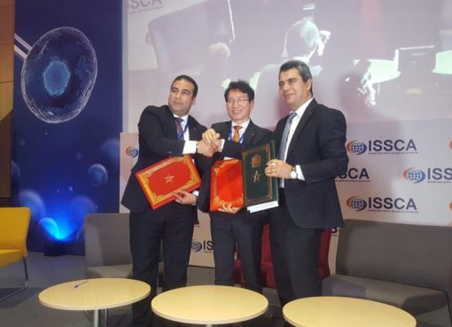 إنشاء أول مركز لاستخراج وزراعة الخلايا الجذعية وإحداث بنك خاص بها في المغرب