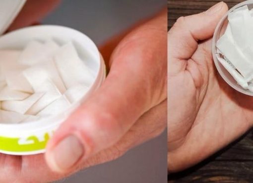 السنوس وأكياس النيكوتين.. بدائل مبتكرة لتقليل مخاطر التدخين